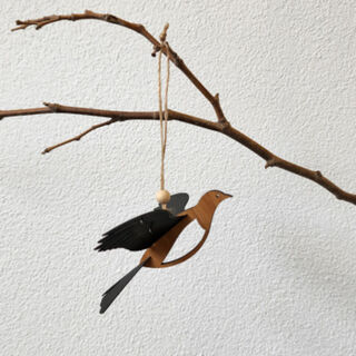 Flat packed Kereru Rimu Veneer