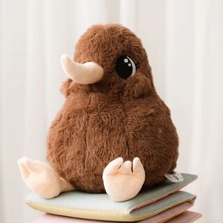 Kuwi the Cuddly Kiwi