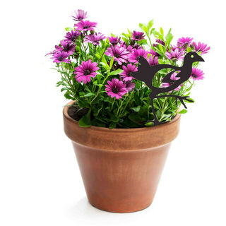 Pukeko Mini Garden Stake