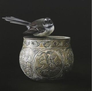 The Begging Bowl by Jane Crisp