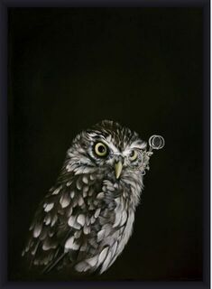 Captain Hooter